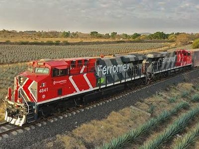 Ferromex frena trenes por crisis migrante; argumenta integridad física de los viajantes ilegales