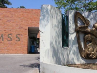 ¿De qué trata el fraude de las viudas falsas del IMSS?