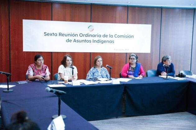 Hay mucho por hacer para combatir la discriminación y la pobreza que enfrentan estas comunidades, coinciden integrantes de Comisión de Asuntos Indígenas