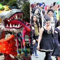 Conoce los 5 eventos gratis que habrán este fin de semana