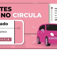 Mira que autos no circula este martes 22 de noviembre