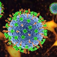 Encienden Alerta por Nipah, un virus de alta mortalidad
