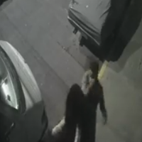 VIDEO: Sujeto ataca en CDMX a mujeres que se daban un beso en los labios