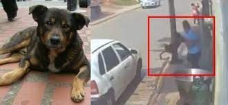Identifican a hombre que lanzó a perrito a un cazo de aceite hiriviendo