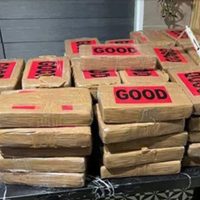 ¡De película! Decomisan 300 kilos de cocaína en CDMX con valor de 90 mdp