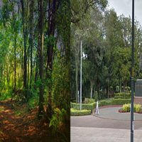 Conoce los 10 mejores parques de CDMX