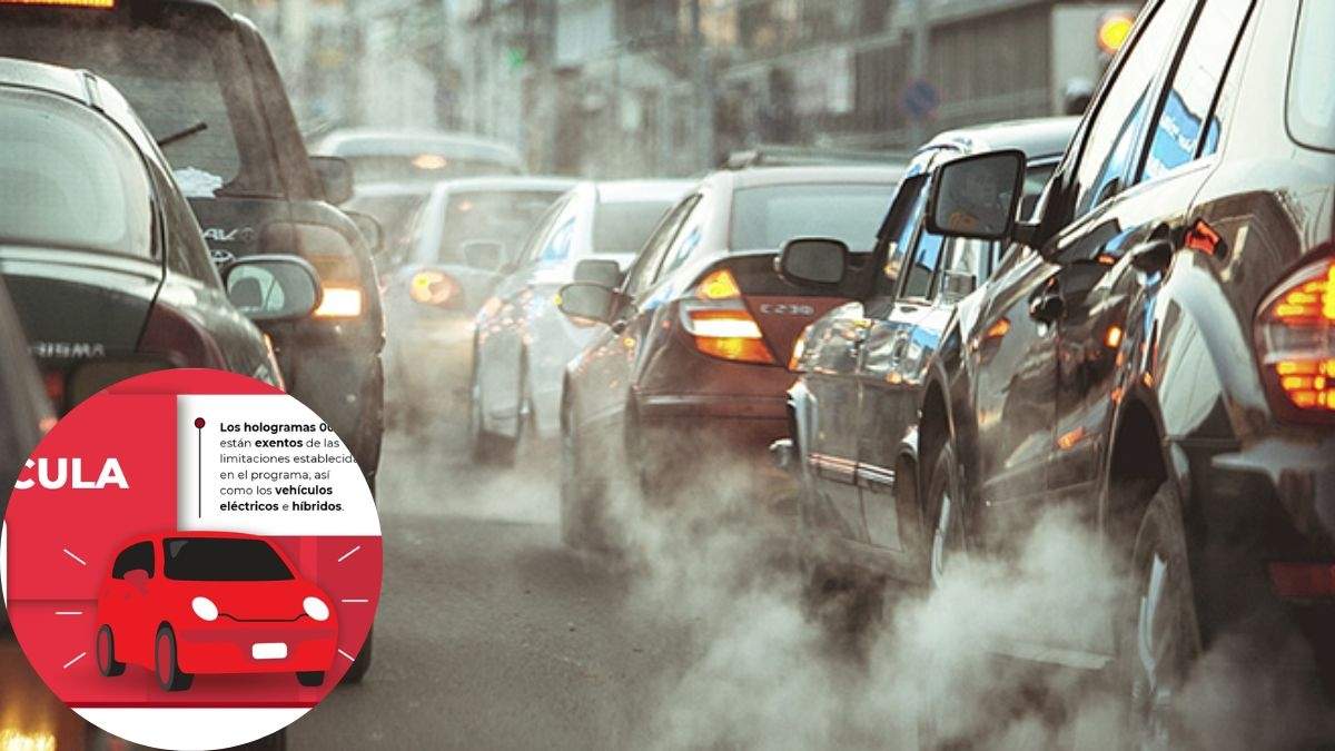 Mira que autos pueden terminar en el corralón si no respetan este Hoy no circula de este miércoles