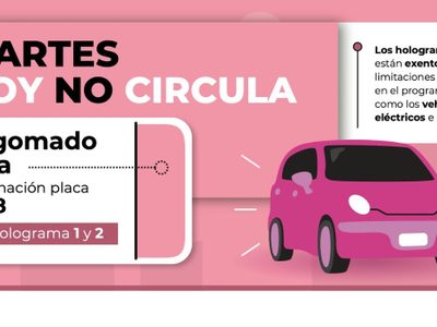 ¡Ten cuidado! Ve que placas pueden salir este Hoy No Circula