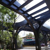 FOTOS Así va la construcción del puente de Los Pinos en Chapultepec