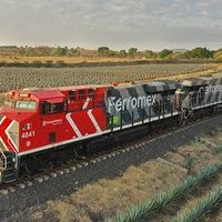 Ferromex frena trenes por crisis migrante; argumenta integridad física de los viajantes ilegales