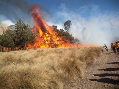 ¿Qué hacer en caso de detectar un incendio forestal en CDMX?