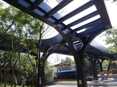 FOTOS Así va la construcción del puente de Los Pinos en Chapultepec