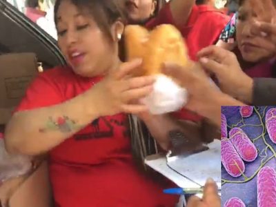 Brote de Salmonelosis es registrado por tortas de AMLO