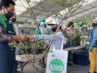 ¡A reciclar! Mercado del Trueque CDMX llegará a la Roma Norte este 8 de mayo