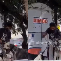 VIRAL Por pegarle a un perro al que paseaba, exhiben a este hombre