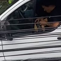 VIRAL: Repartidores de Amazon abren paquetes en CDMX