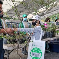 ¡A reciclar! Mercado del Trueque CDMX llegará a la Roma Norte este 8 de mayo