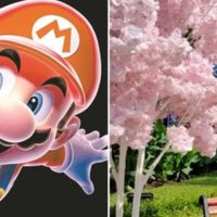 Conoce el parque de Súper Mario Bros en CDMX