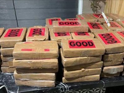 ¡De película! Decomisan 300 kilos de cocaína en CDMX con valor de 90 mdp