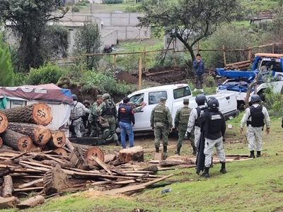 Desmantelan aserraderos ilegales en Huitzilac, Morelos