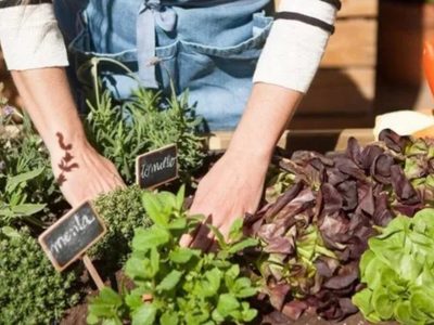 Cómo hacer tu propio huerto urbano en 4 sencillos pasos