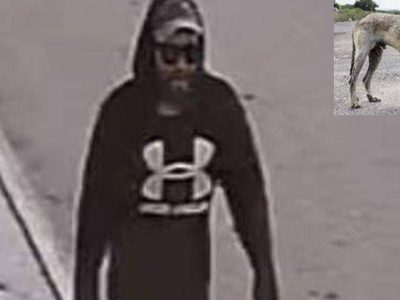 Mató a un perro a disparos y quedó grabado en video