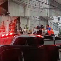 Perritos son rescatados de un edificio incendiado