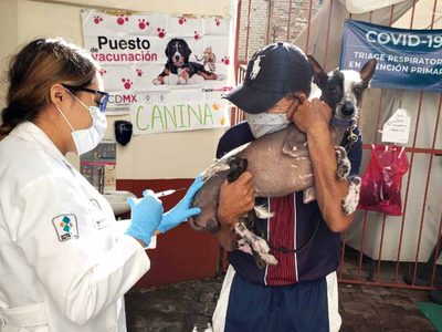 ¡Único día! Aplicarán vacuna GRATIS contra la rabia para perros y gatos en Neza