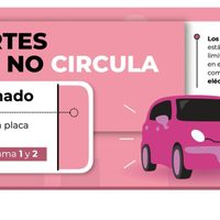 Guarda tu auto en casa y evita multas si tienes esta matrícula en el Hoy No Circula