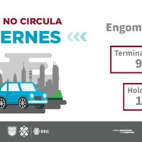 El Hoy no Circula de este viernes aplica para estas placas