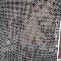 VIDEO retiran enjambre de abejas en la estación Taxqueña del Metro en CDMX