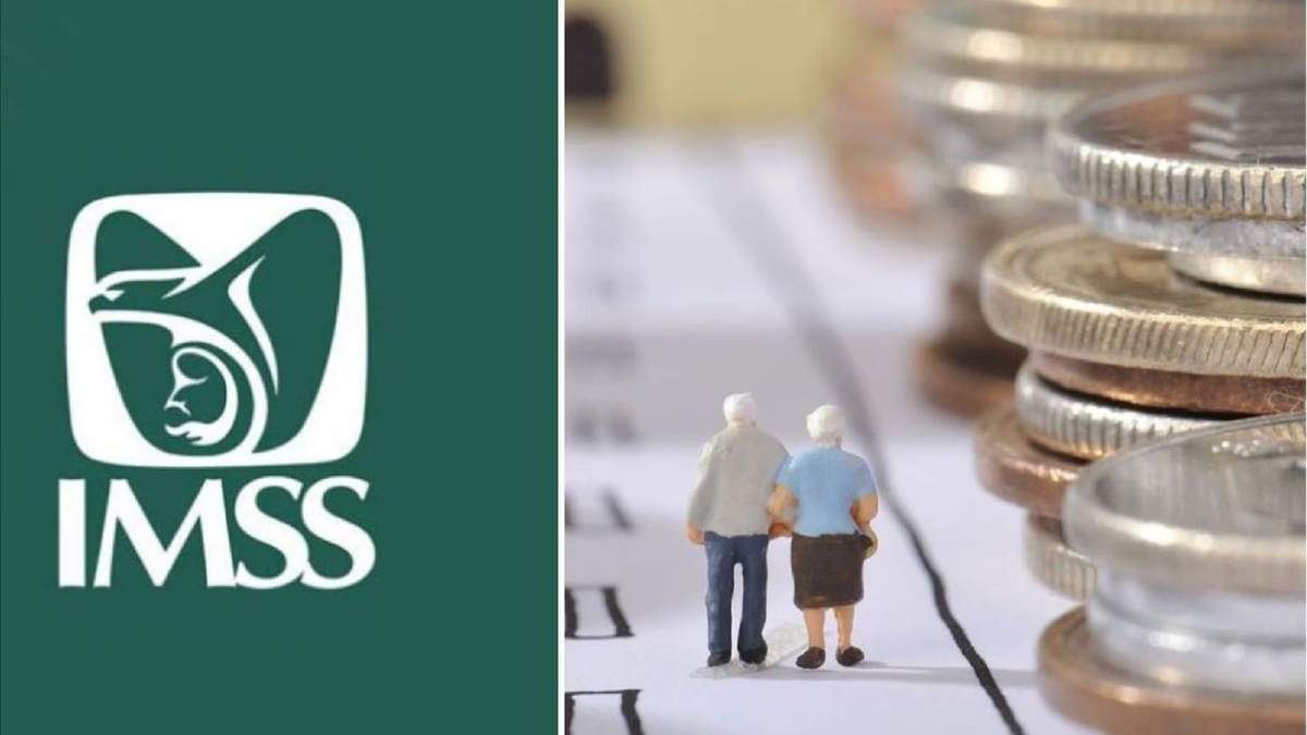 Este pago se acreditará desde el mes de abril a los usuarios que realicen efectivamente la actualización de datos del IMSS