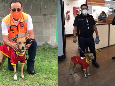 Rescatan a perro "Flash" en la estación Tacuba del Metro CDMX