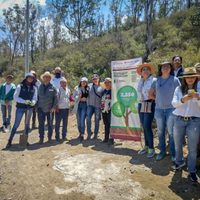 Concluyen reforestación en Geoparque Comarca Minera; cumplen compromiso con la UNESCO