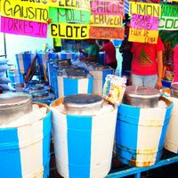 Asiste a la Feria de la Nieve en la alcaldía Cuauhtémoc, aquí los detalles