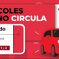 Hoy no circula: estos autos deben quedarse en casa