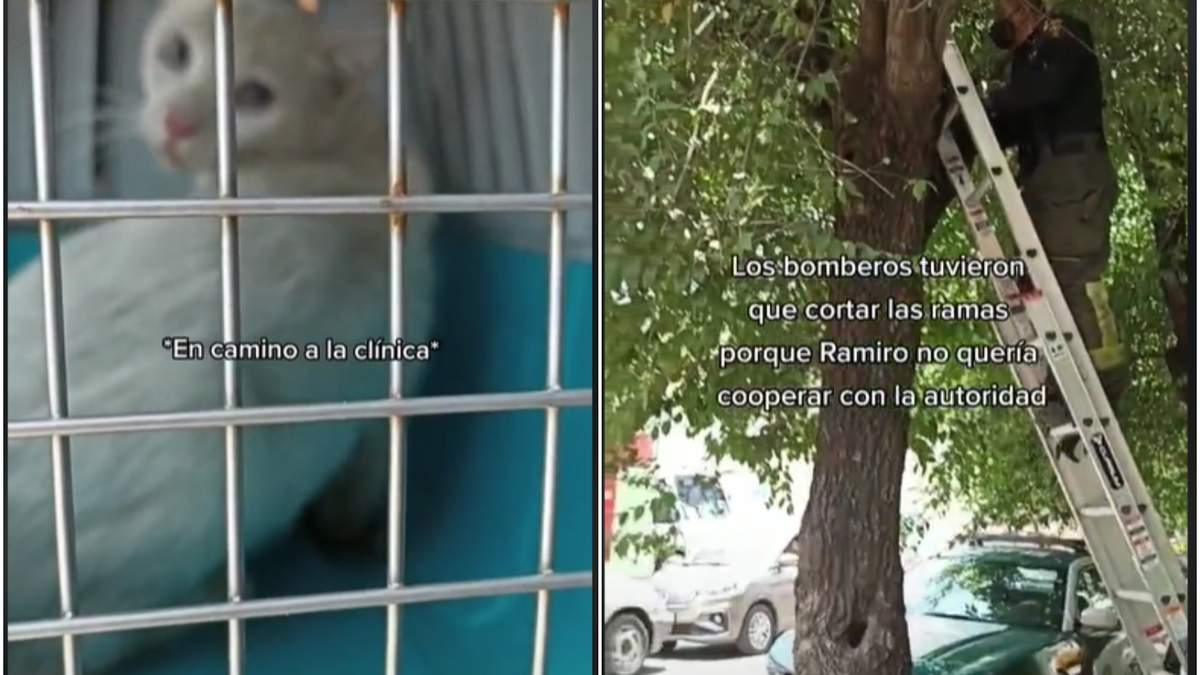 FOTO: captura