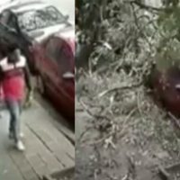VIDEO Novios se salvan de caída de árbol en la colonia Juárez