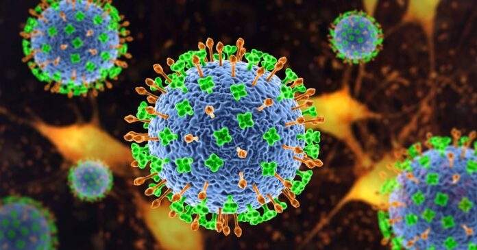 Nipah apareció´ en 1999 en países como Malasia, Bangladesh e India, este último vive su cuarto brote: han muerto 2 personas que tuvieron contacto con 1500 más