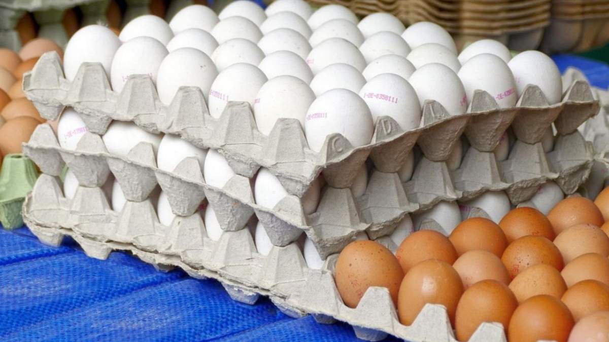 El precio del kilo de huevo ha ido a la baja en esta temporada