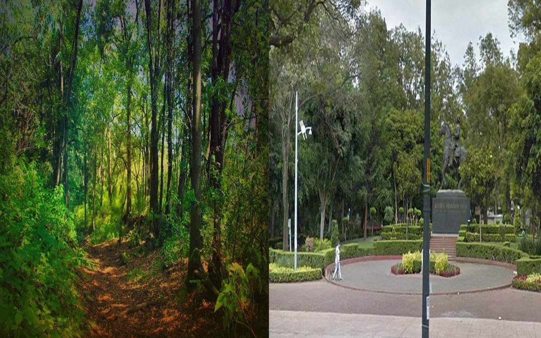 Los parques de la Ciudad de México no solo purifican el aire, sino que son un gran sitio para pasar un fin de semana.