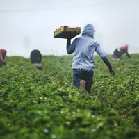 Para los agricultores, entregaron apoyos en Estado de México