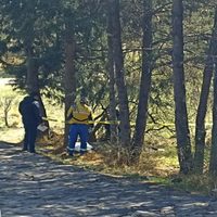 VIDEO Hallan cuerpo baleado en la zona alta del Ajusco en Tlalpan