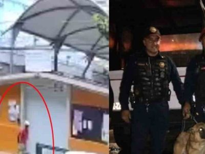 VIDEO Maltrato Animal: capturan a responsable de abandonar perrita en CDMX