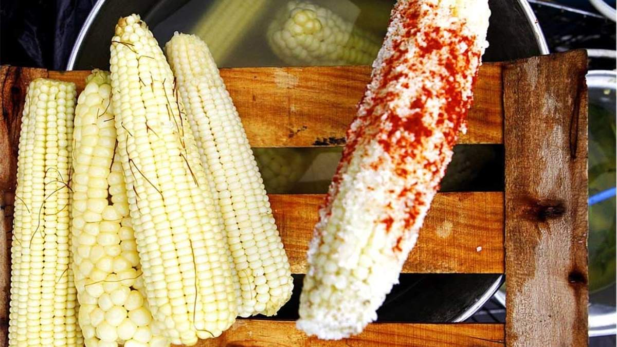 Feria Nacional del Elote 2022: Esquites con la Sonora Dinamita de fondo. Foto: Dónde ir