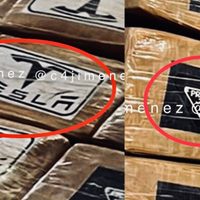 Cocaína confiscada salió de Colombia a Tepito con sellos de Tesla y Prada