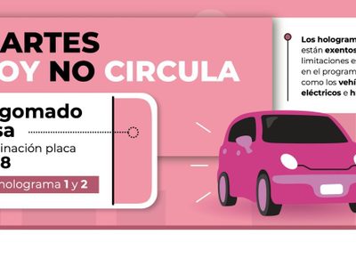Mira que autos no circula este martes 22 de noviembre