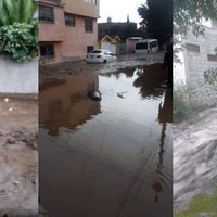 VIDEOS Fuertes inundaciones en Xochimilco y Tlalpan por la lluvia