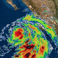 De tormenta a huracán; Celia se transforma hoy sábado
