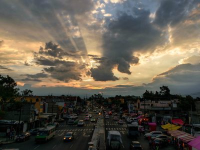 8 consejos para mejorar la calidad del aire en la CDMX